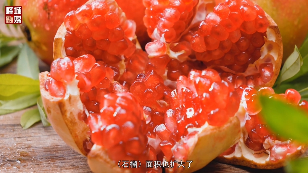 ΢Žͼ_20250219144454.png